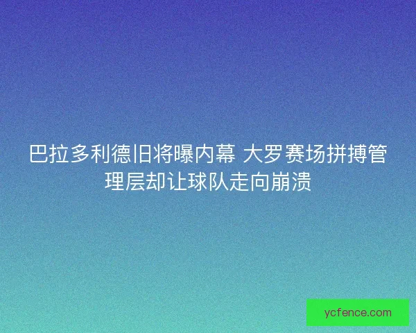 巴拉多利德旧将曝内幕 大罗赛场拼搏管理层却让球队走向崩溃