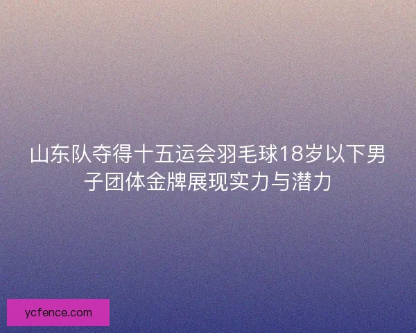山东队夺得十五运会羽毛球18岁以下男子团体金牌展现实力与潜力