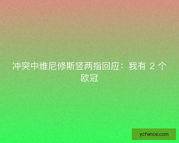 冲突中维尼修斯竖两指回应：我有 2 个欧冠