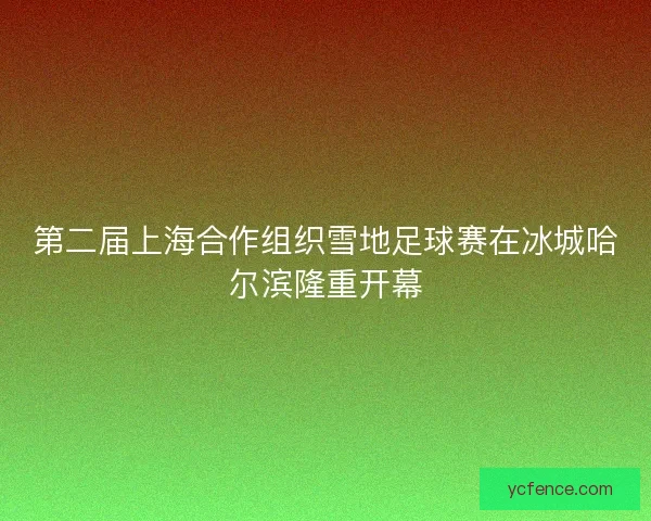 第二届上海合作组织雪地足球赛在冰城哈尔滨隆重开幕